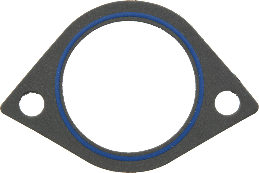 Fuel Injection Plenum Gasket