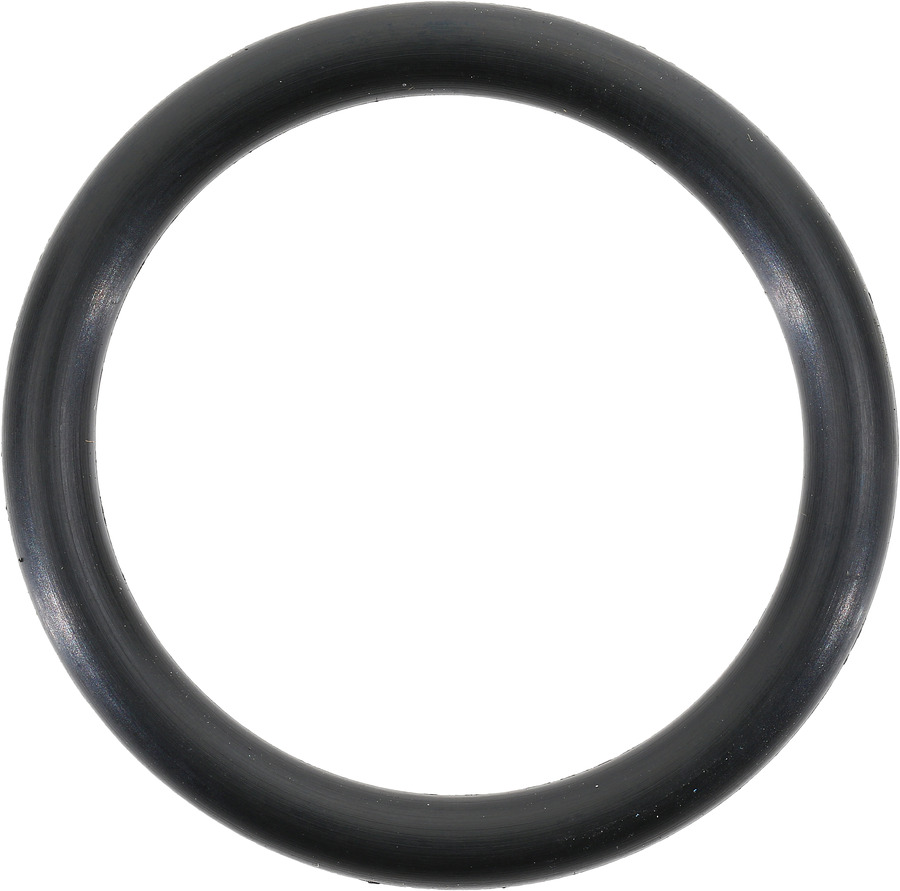 Fuel Pump Mounting Gasket