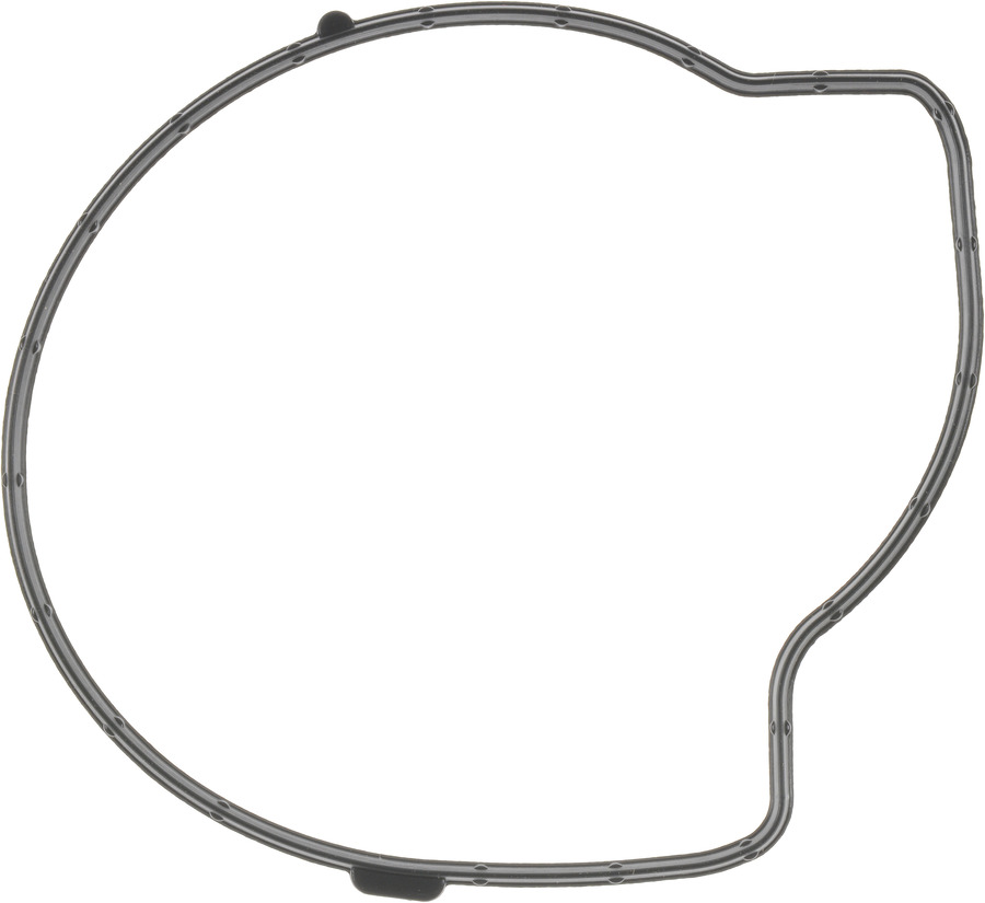 Engine Water Pump Gasket