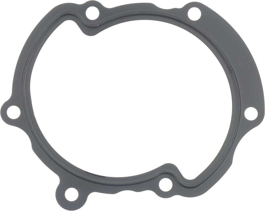 Engine Water Pump Gasket
