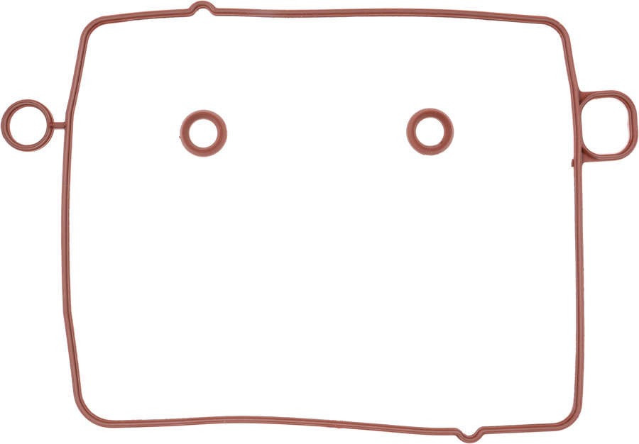 Fuel Injection Plenum Gasket