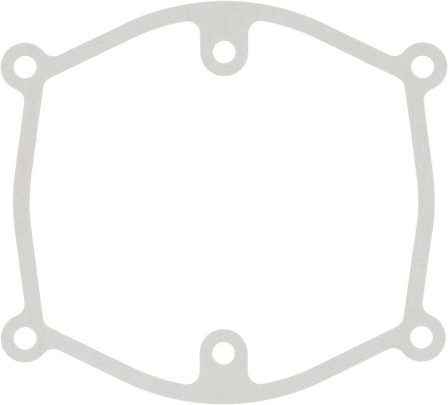 Fuel Injection Plenum Gasket