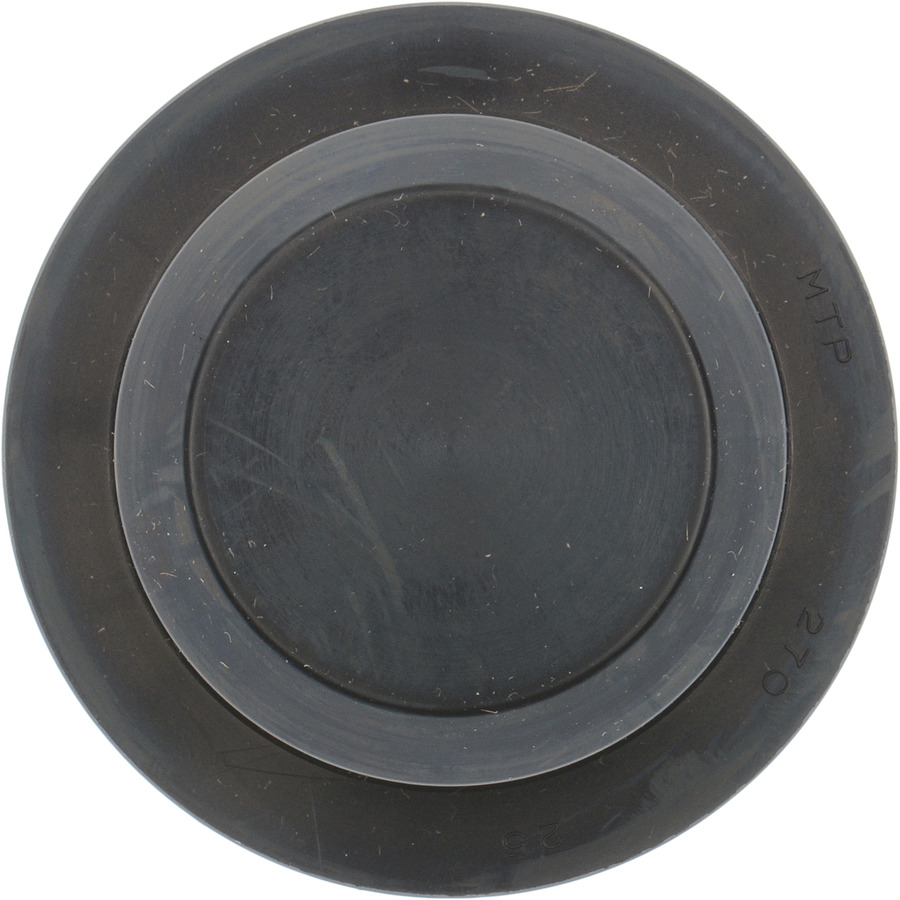 Engine Camshaft Plug