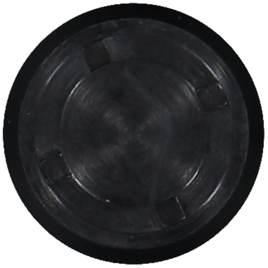 Engine Camshaft Plug