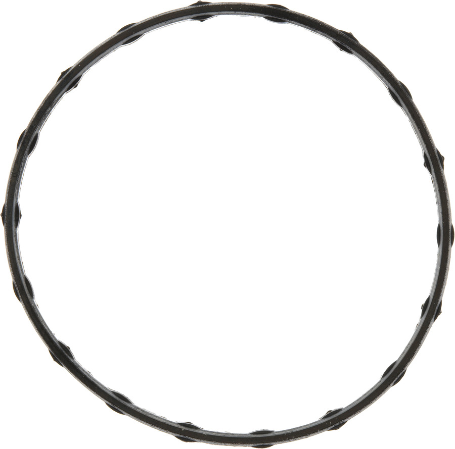 Engine Coolant Thermostat Housing Seal