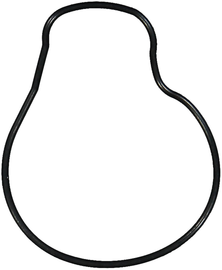 Engine Water Pump Gasket