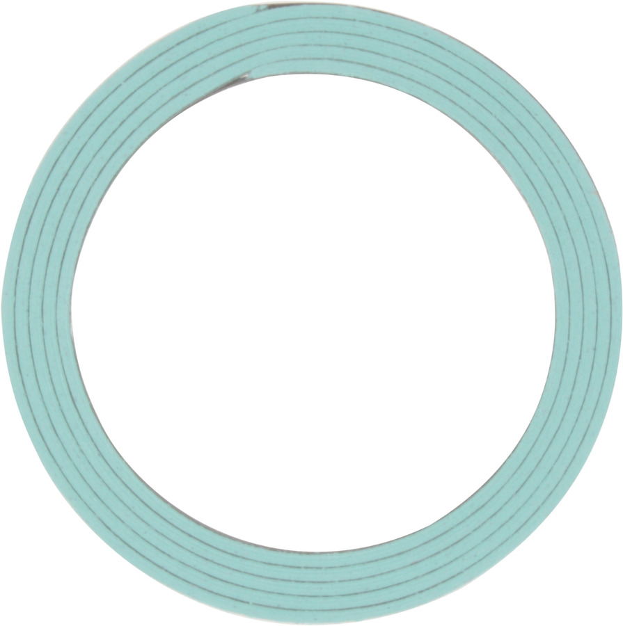 Catalytic Converter Gasket