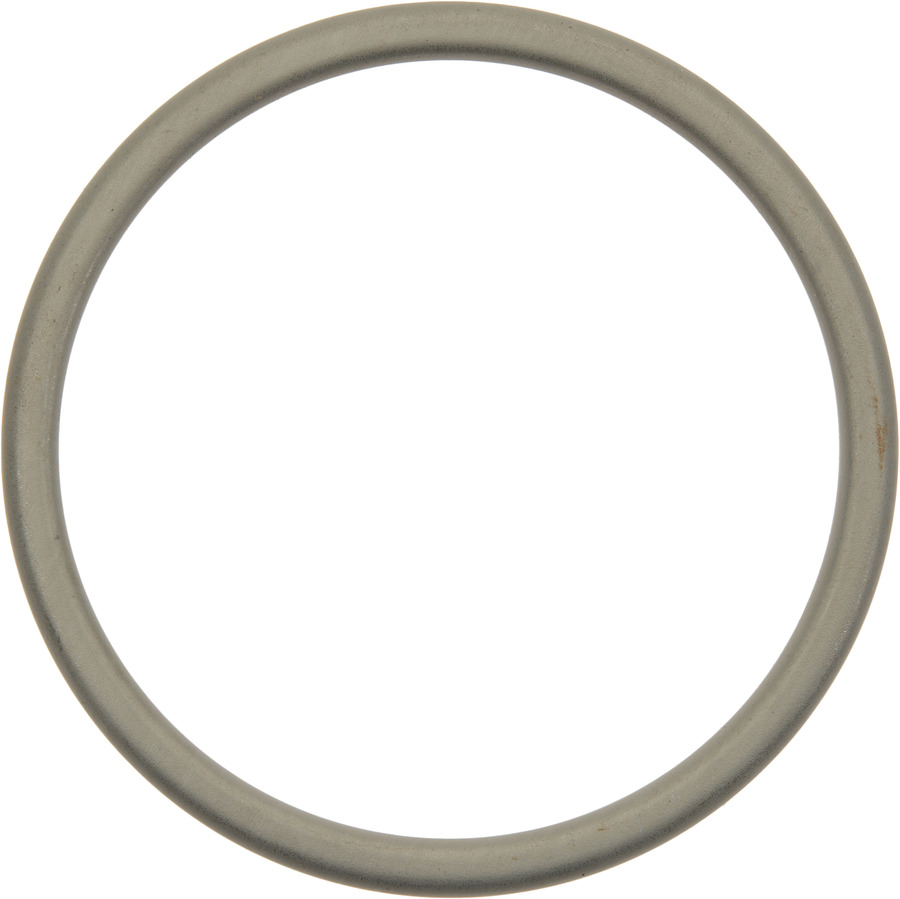 Catalytic Converter Gasket