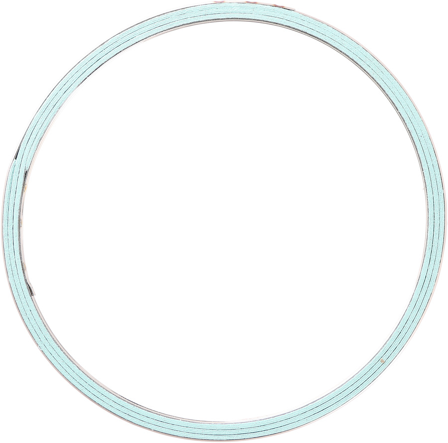 Catalytic Converter Gasket