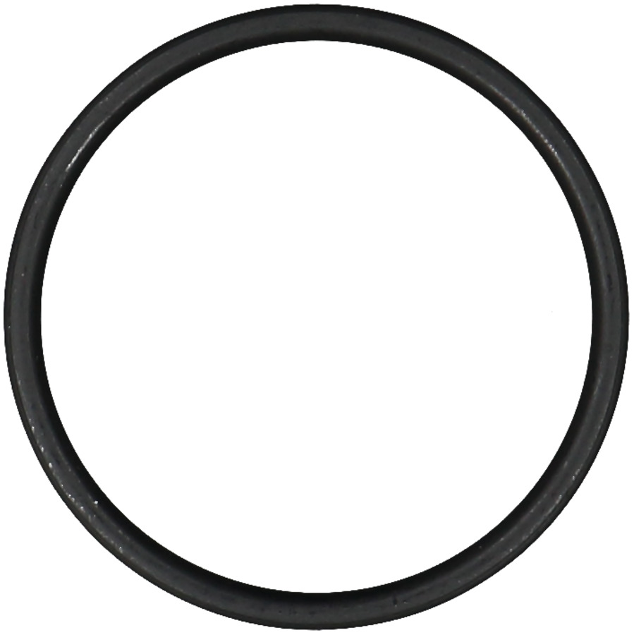 Catalytic Converter Gasket