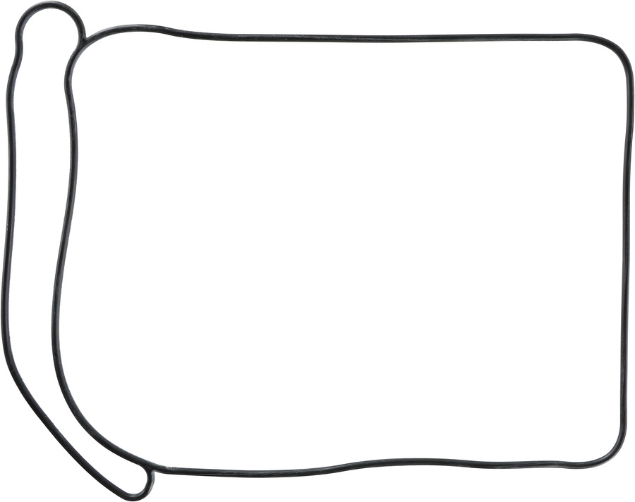 Engine Water Pump Gasket