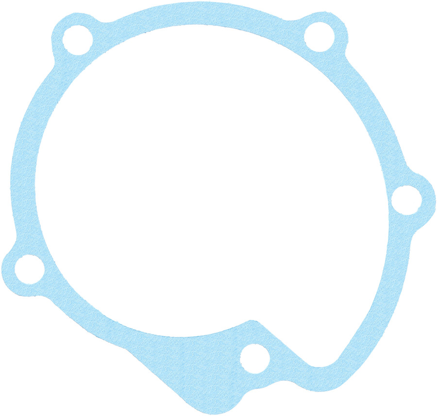 Engine Water Pump Gasket