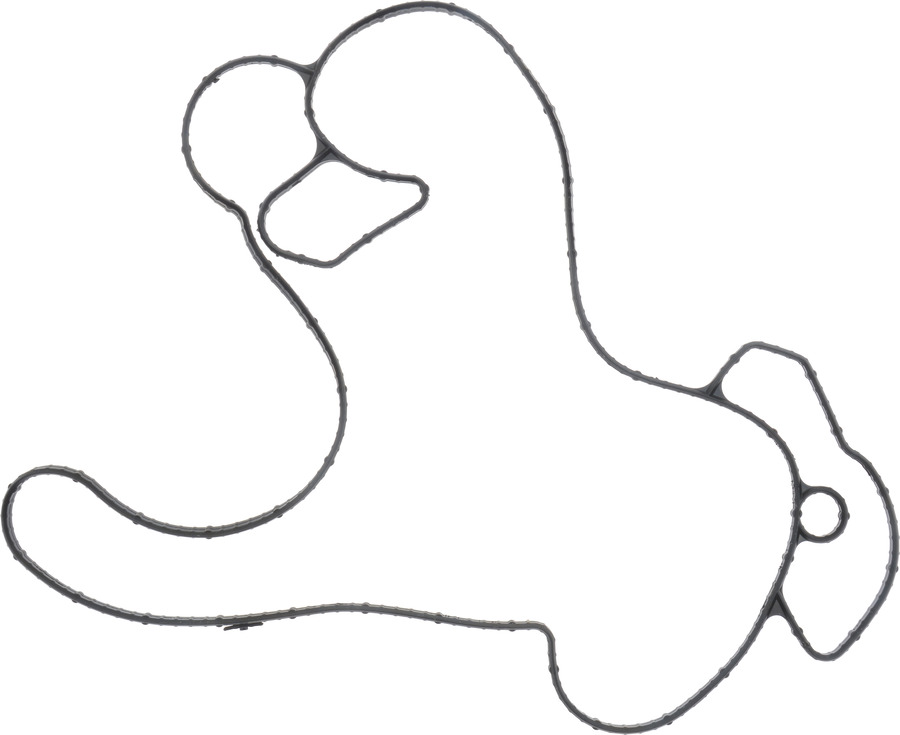 Engine Water Pump Gasket