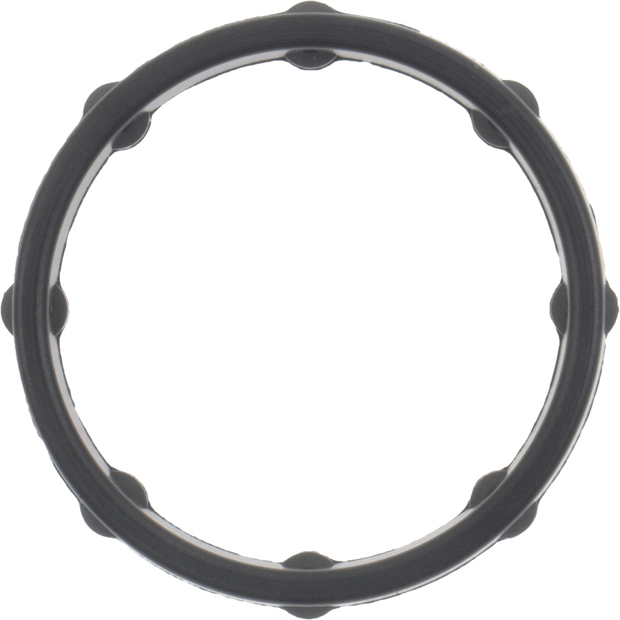 Engine Oil Cooler Gasket