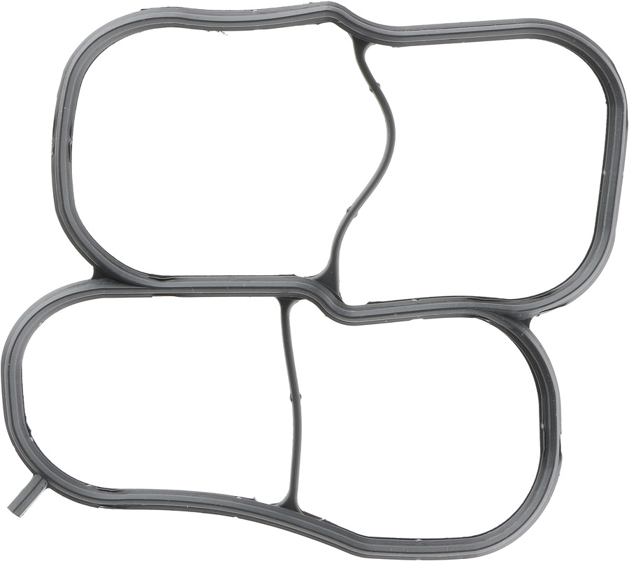 Fuel Injection Idle Air Control Valve Gasket