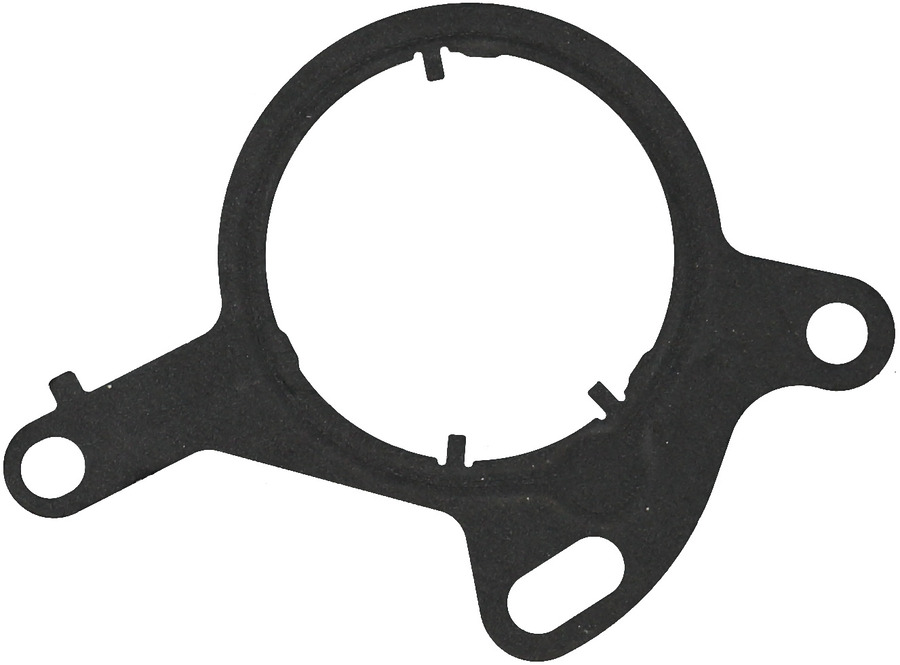 Vacuum Pump Gasket