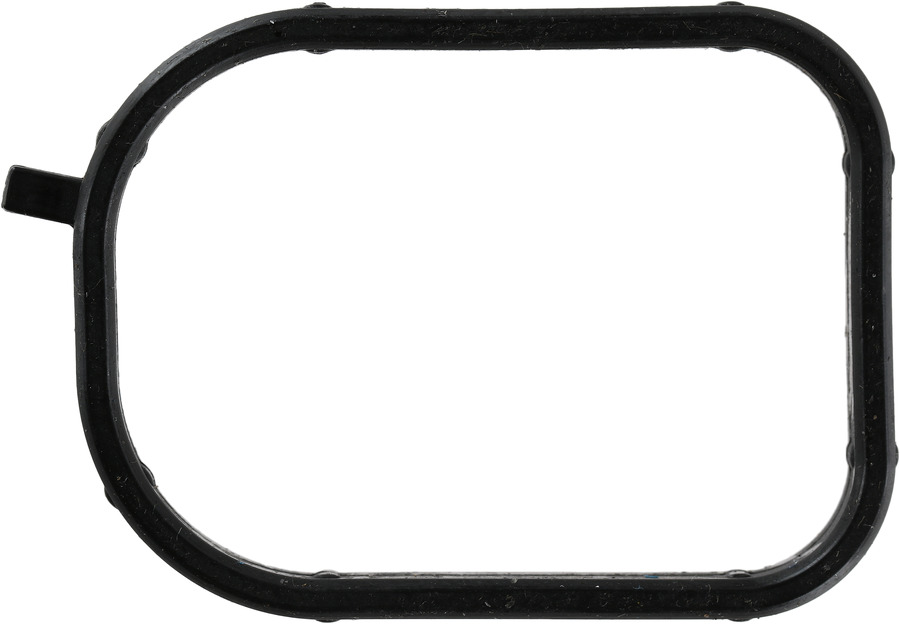 Engine Coolant Water Outlet Adapter Gasket