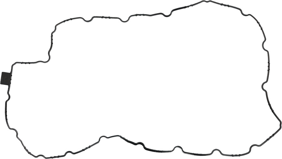 Engine Oil Pan Gasket
