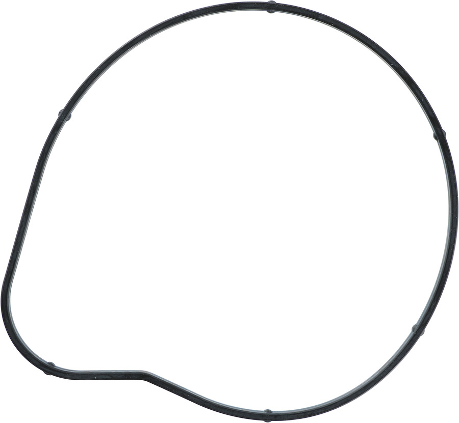 Engine Water Pump Gasket
