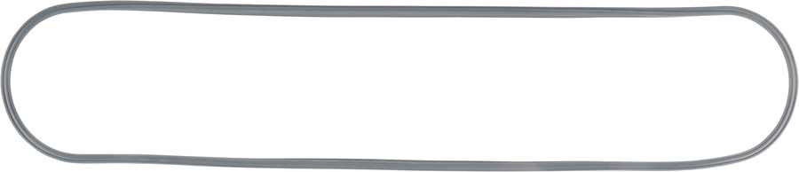 Engine Oil Pan Gasket