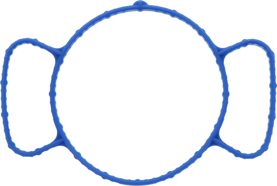Engine Timing Cover Gasket