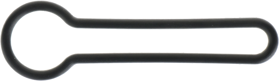 Fuel Injection Pressure Regulator Seal