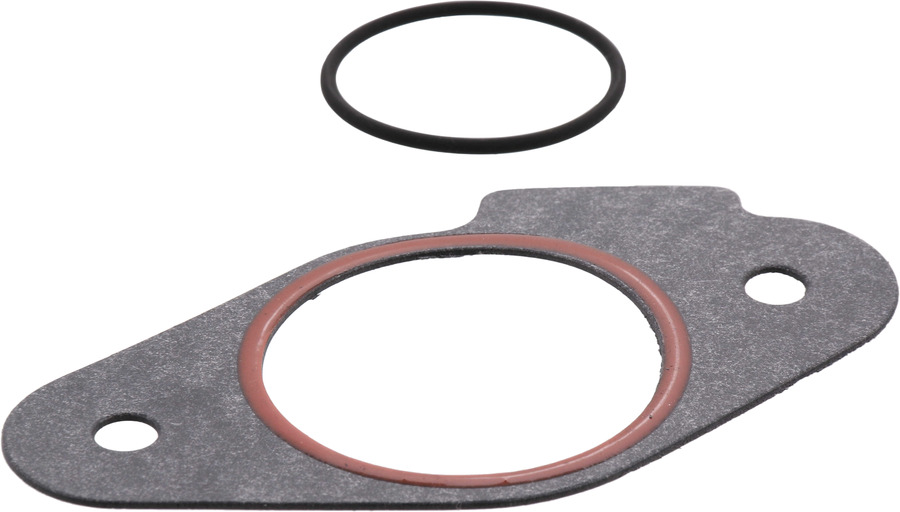 FuelPump Mntg Gasket