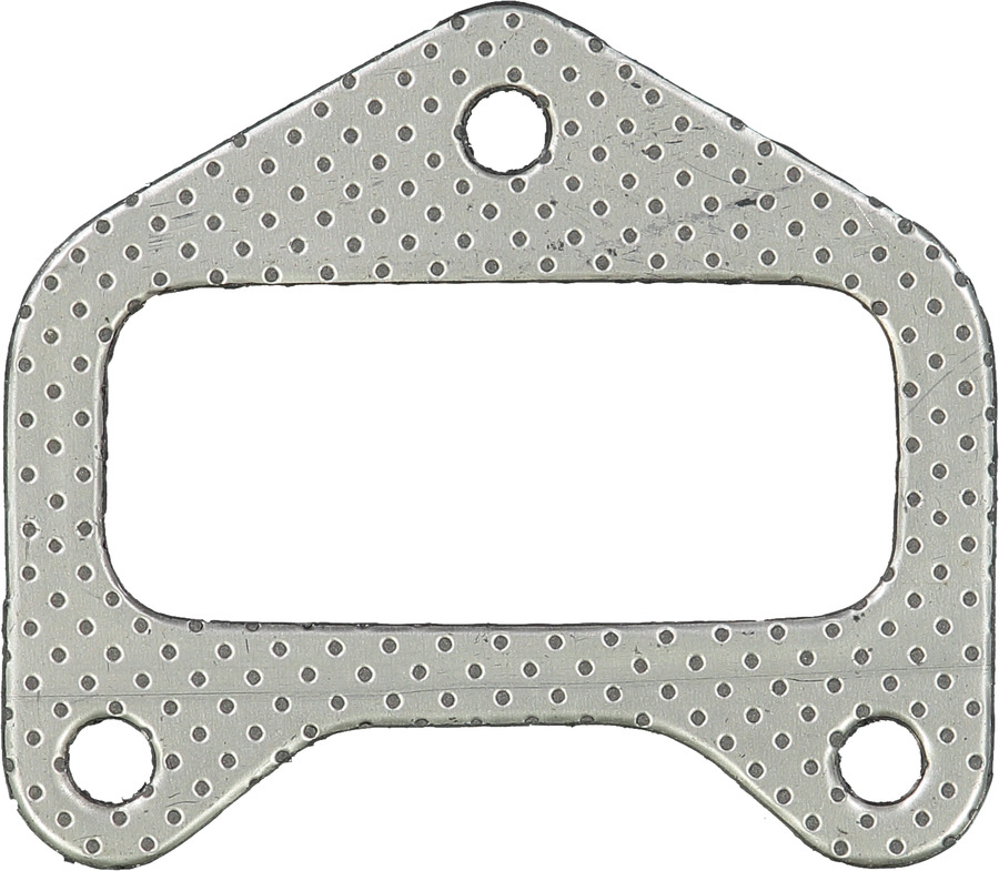 Exhaust Manifold Gasket
