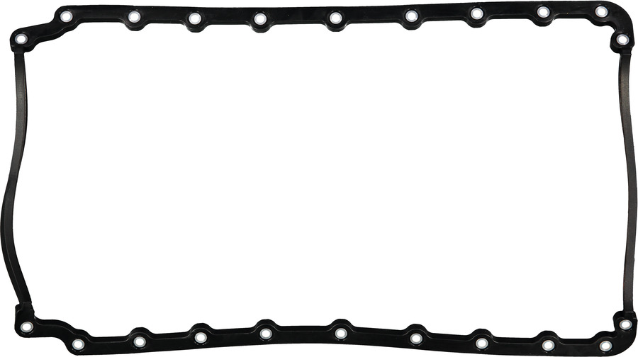 Engine Oil Pan Gasket