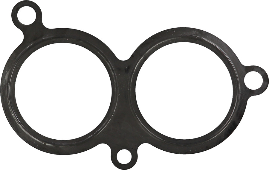 Fuel Injection Plenum Gasket