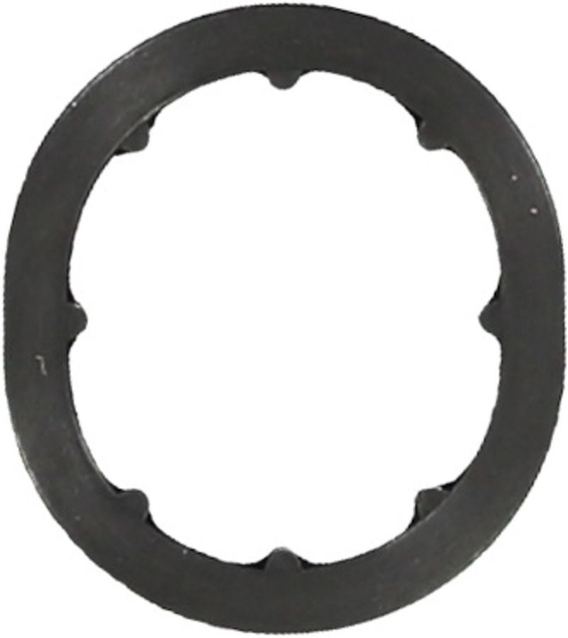 Engine Oil Cooler Gasket