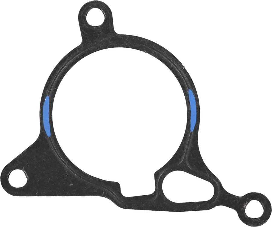 Vacuum Pump Gasket