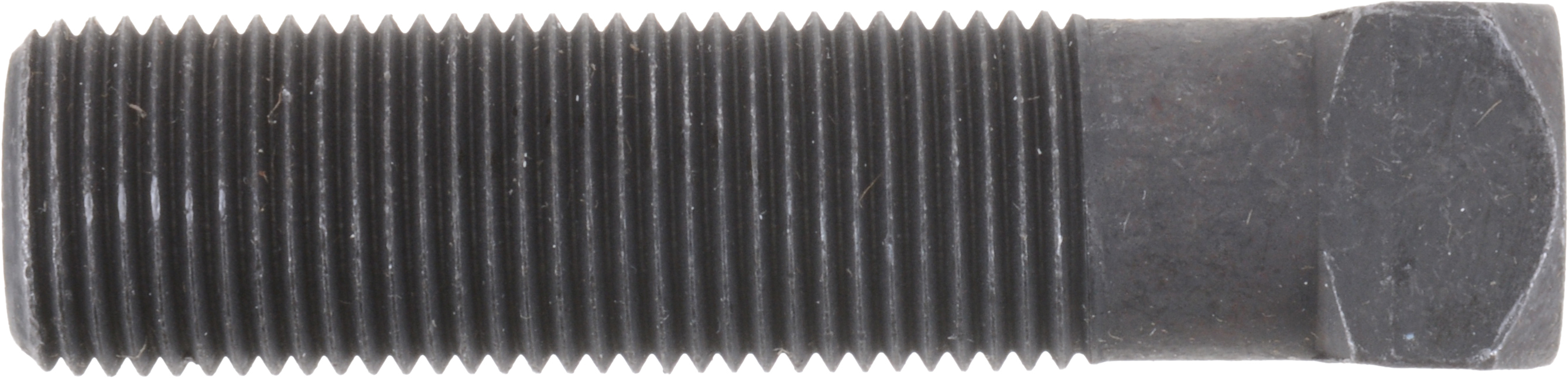 Steering Knuckle Bolt